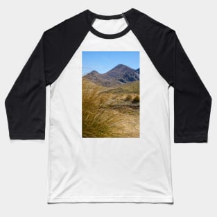 Golden tussock. Baseball T-Shirt